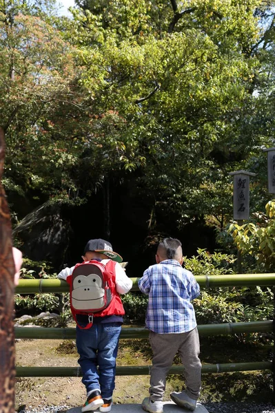 Μια Ομάδα Ανθρώπων Στο Πάρκο — Φωτογραφία Αρχείου