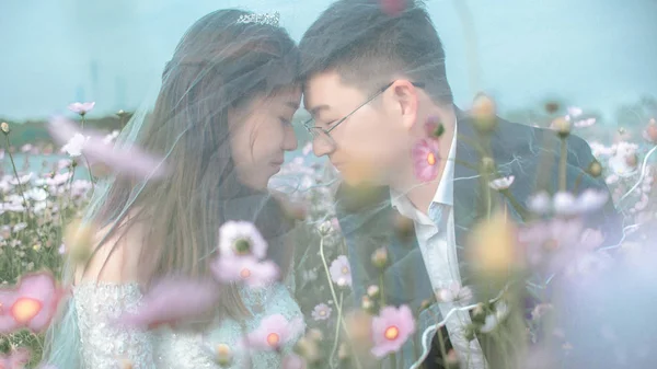 Happy asian couple in field with flowers blossom
