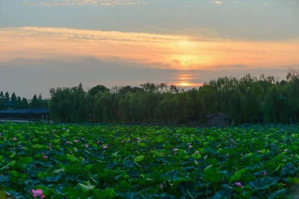 Hermoso Atardecer Noche — Foto de Stock