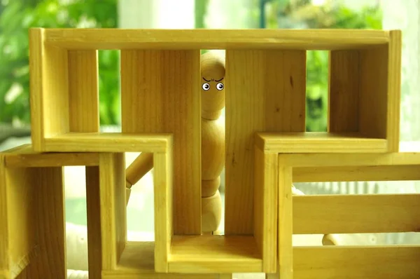 wooden toy house with a green plant