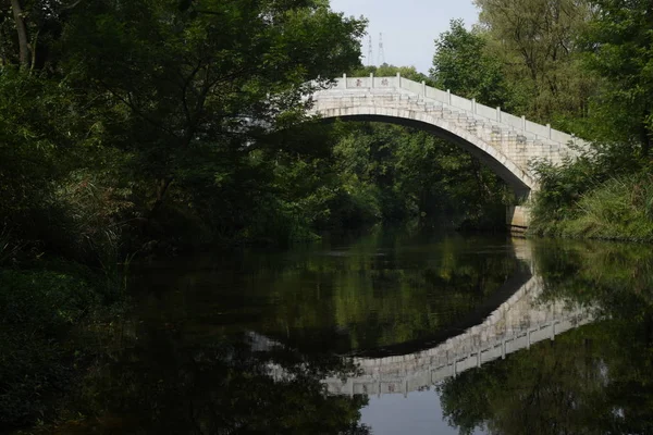 the bridge in the forest.