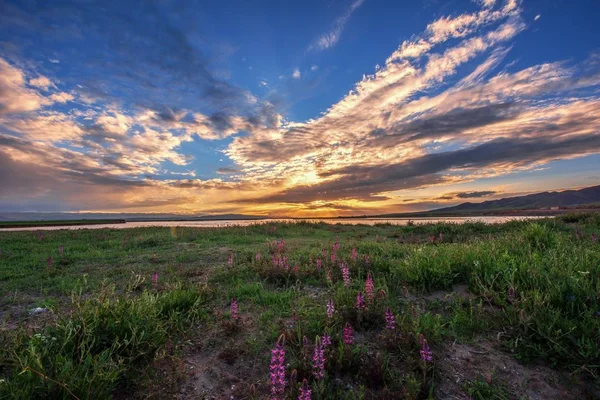 Solnedgång Över Fältet Berget — Stockfoto