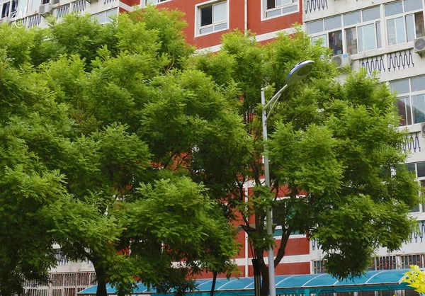 Vista Ciudad Estocolmo Suecia — Foto de Stock