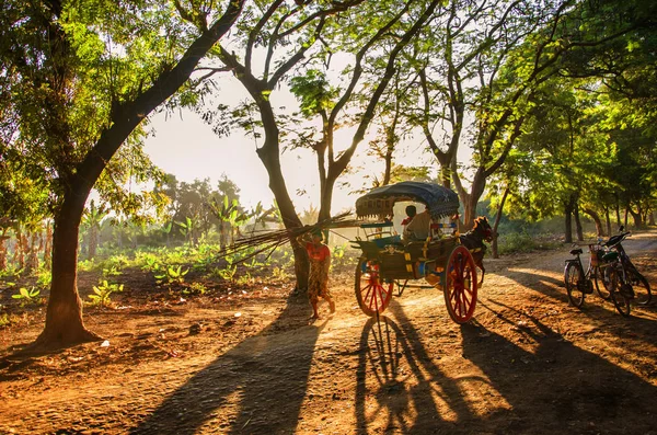 Giovane Donna Nel Parco Autunnale Thailandia — Foto Stock