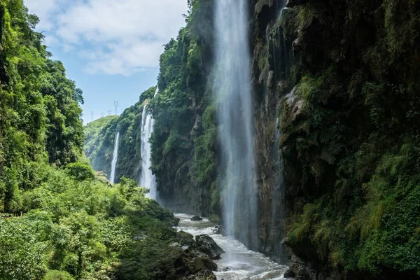 waterfalls of waterfall in the forest