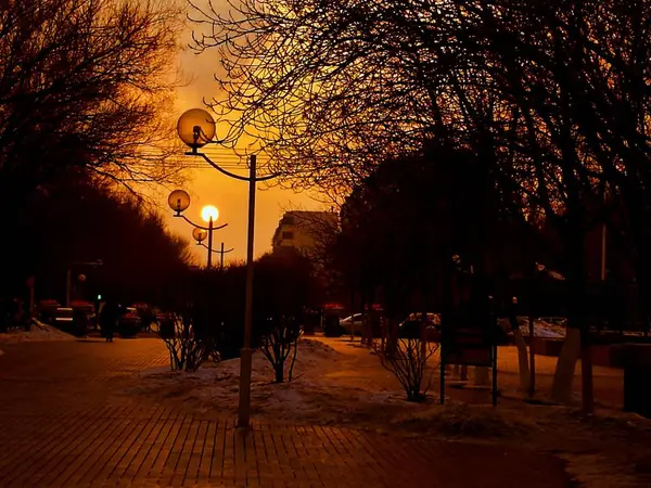 Silueta Una Puesta Sol Nevando Parque — Foto de Stock