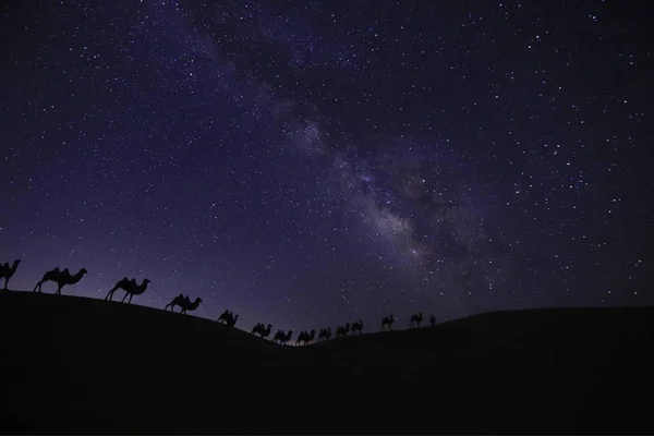 astronomy concept, night sky with stars