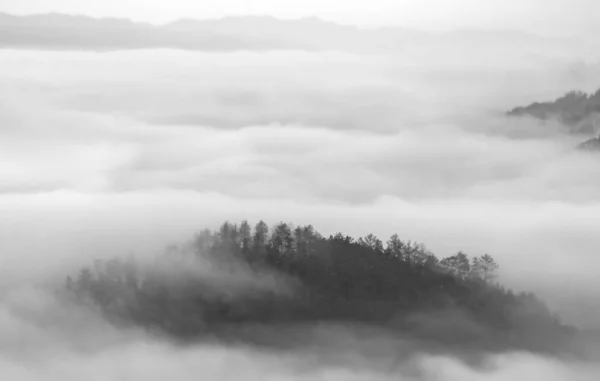 Nebbia Nella Foresta — Foto Stock