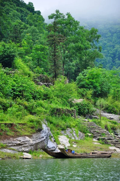 Río Bosque Tailandia — Foto de Stock