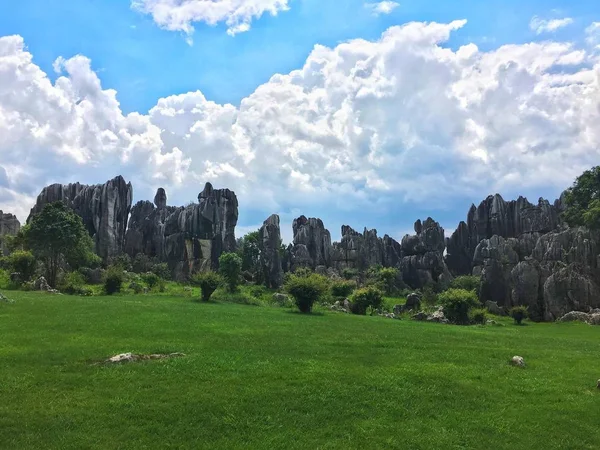 Hermoso Paisaje Con Árboles Cielo Azul — Foto de Stock