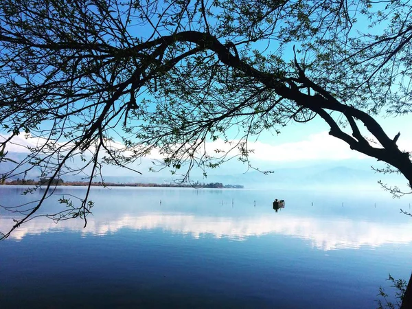 Hermoso Lago Bosque — Foto de Stock