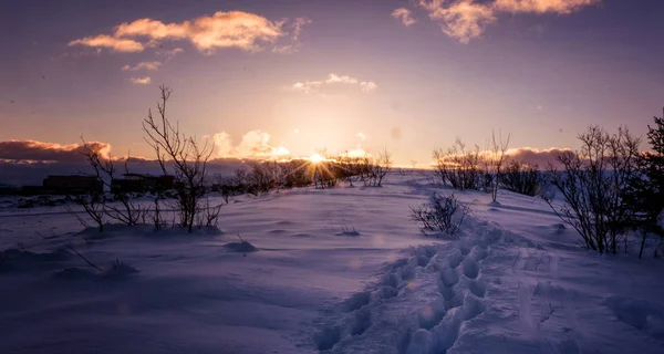 Puesta Sol Bosque Invierno — Foto de Stock