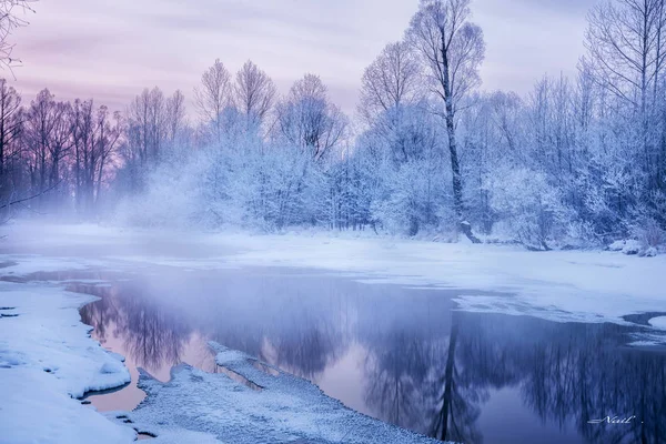 Frozen Winter Landscape Snow Trees — Stock Photo, Image