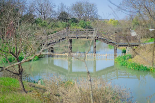 Lago Con Estanque Bosque — Foto de Stock