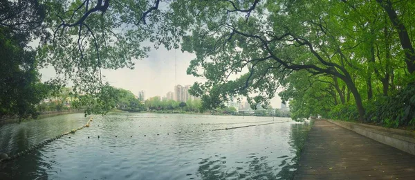 Hermoso Lago Parque — Foto de Stock