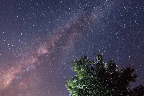 Cielo Nocturno Astronómico Con Estrellas — Foto de Stock