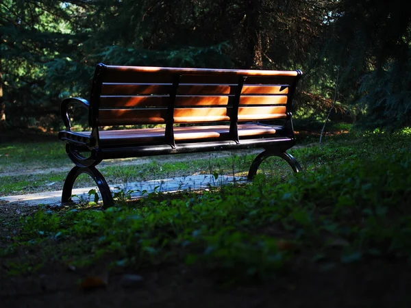 Viejo Banco Madera Parque — Foto de Stock