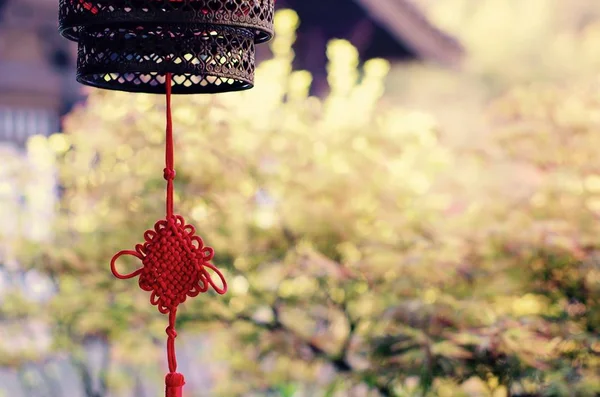 lantern hanging on a tree in the garden