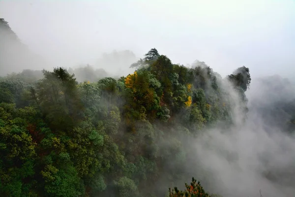 Niebla Mañana Parque Nacional Ucrania — Foto de Stock