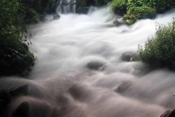 Cachoeira Rio Floresta — Fotografia de Stock