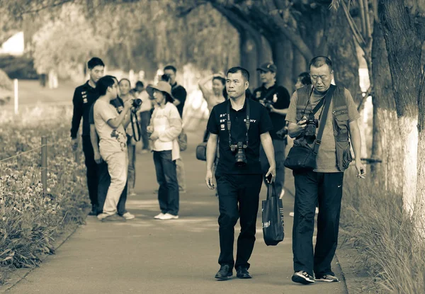 Grupo Personas Caminando Parque — Foto de Stock