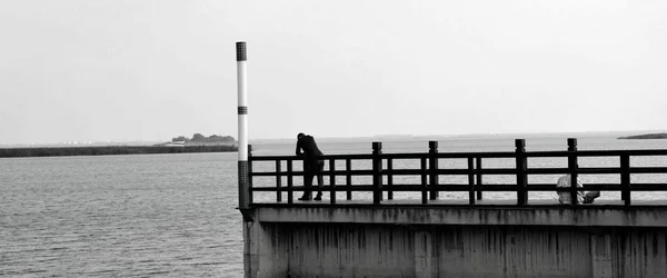 black and white pier in the sea