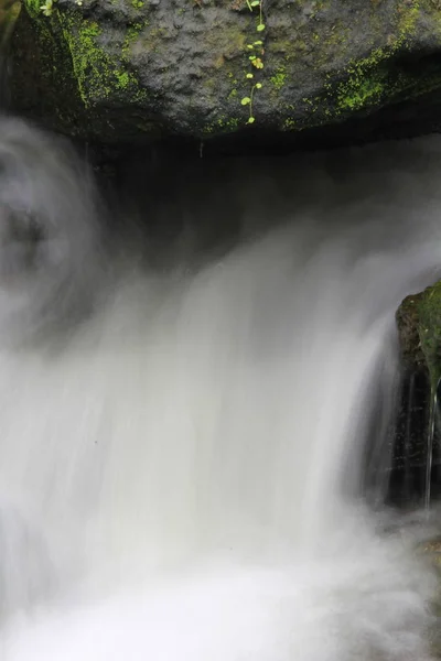 waterfalls and waterfall in the forest