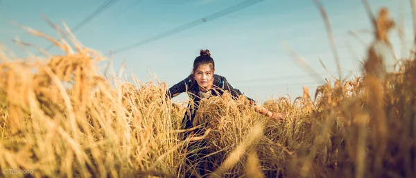 Young Asian Girl Wheat Field — Stock Photo, Image