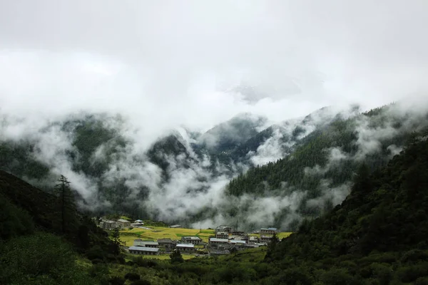Paisaje Montaña Con Niebla Árboles — Foto de Stock