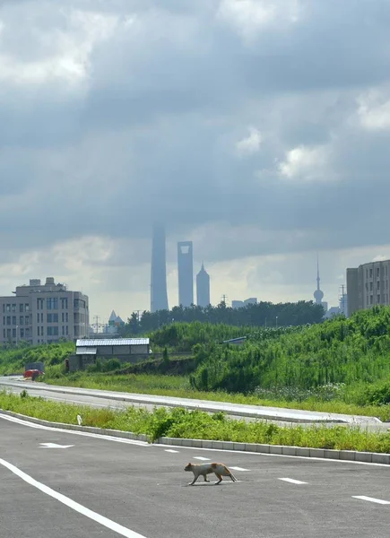 road in the city with cityscape and roads