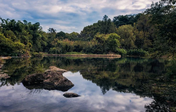 Reflejo Del Río Bosque — Foto de Stock