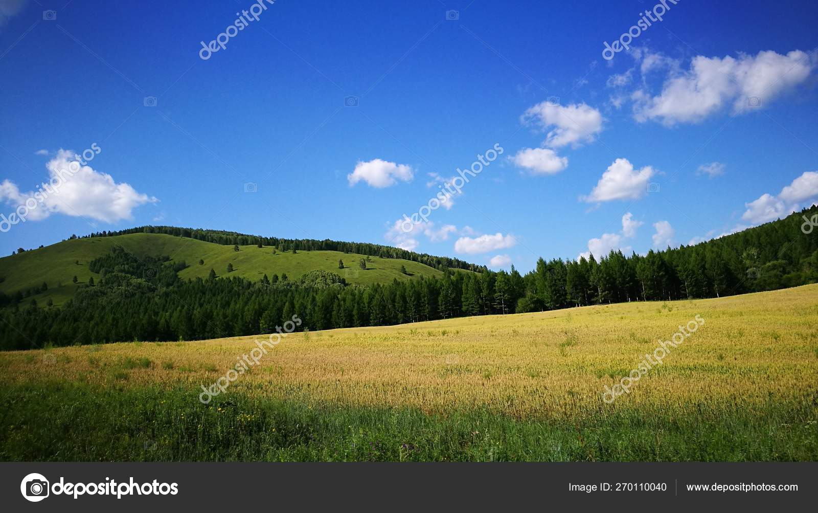 緑の芝生と青い空の夏の風景 ストック写真 C Imaginechina Tuchong