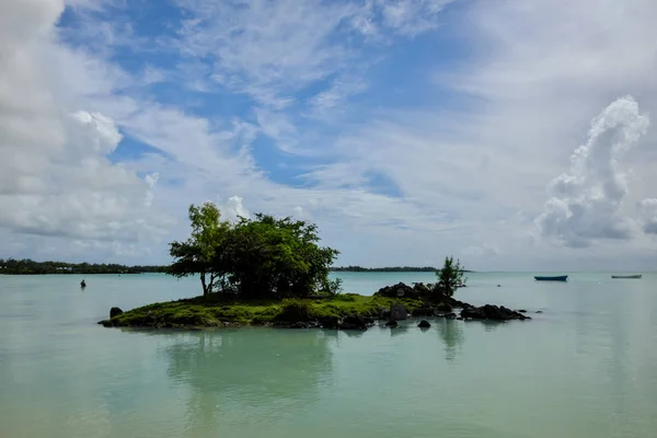 beautiful landscape with lake and tropical trees