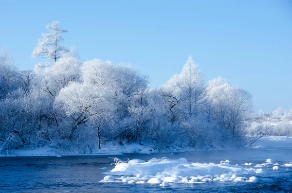 View Winter Landscape Snow — Stock Photo, Image