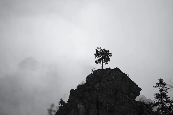 Silhouette Bianco Nero Della Montagna — Foto Stock