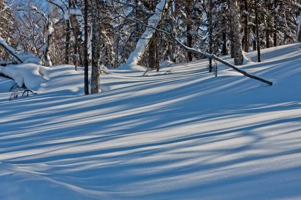 Vista Del Paisaje Invernal — Foto de Stock