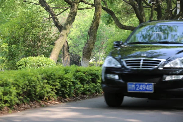 Coche Carretera Bosque — Foto de Stock