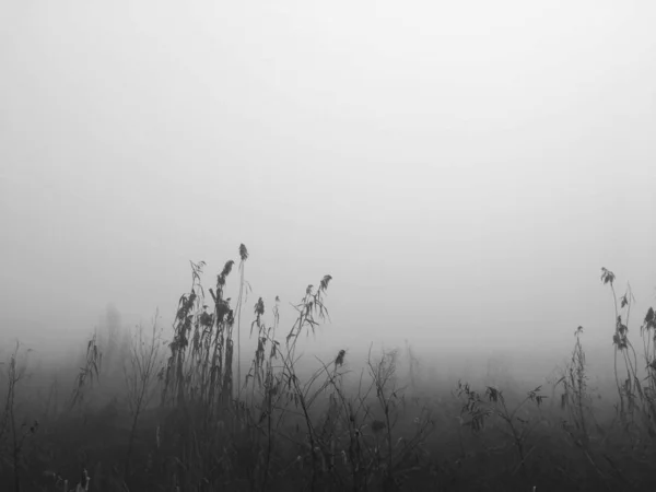 Manhã Enevoada Nevoeiro — Fotografia de Stock