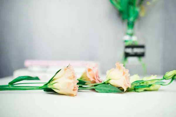 Fechar Belas Flores Rosa Florescentes — Fotografia de Stock