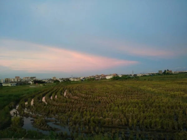 Hermoso Paisaje Con Campo — Foto de Stock