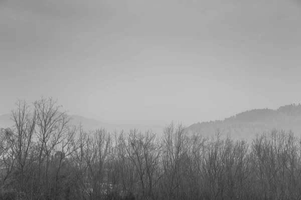 Zimní Krajina Sněhem Stromy — Stock fotografie