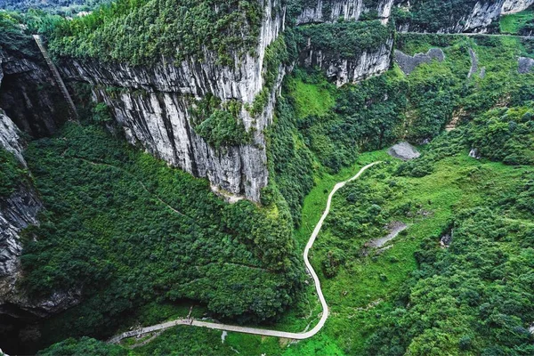 Vista Aérea Árboles Verdes Con Musgo — Foto de Stock