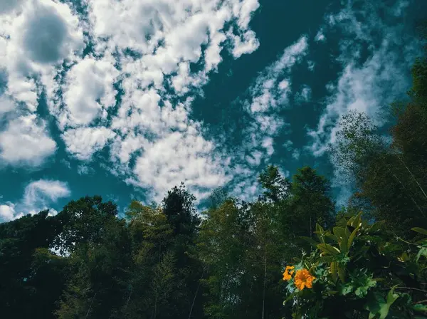 Hermoso Paisaje Con Cielo Azul — Foto de Stock