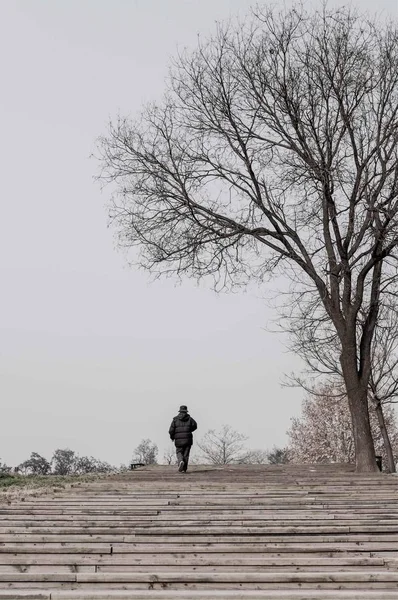 man in a suit walking on the path in the park