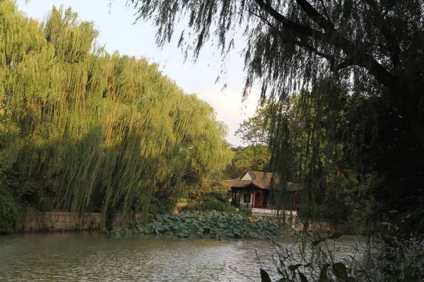 Hermoso Río Parque — Foto de Stock