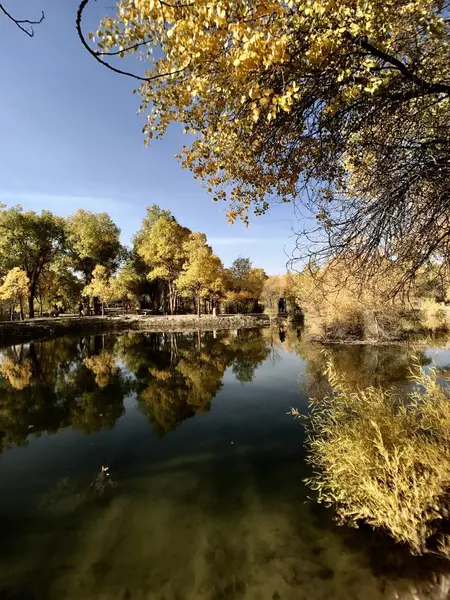 Paisaje Otoñal Con Reflexión Árboles — Foto de Stock