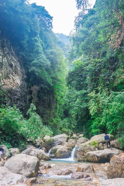 Rio Montanha Floresta — Fotografia de Stock