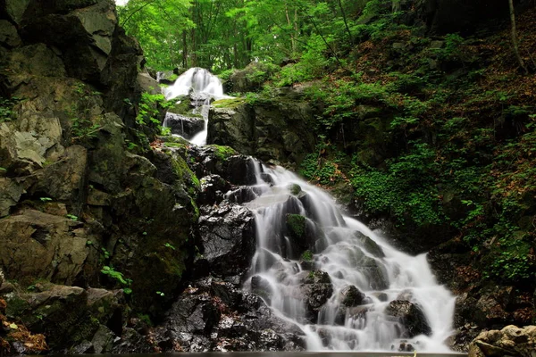 waterfalls of waterfall in the forest