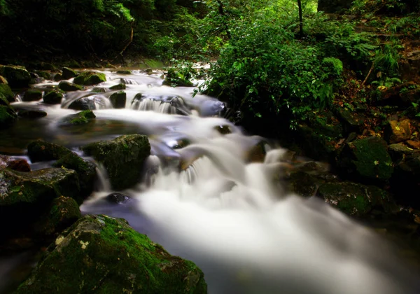 Wodospady Wodospadu Lesie — Zdjęcie stockowe