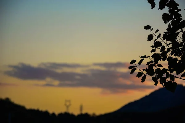 Caballos Atardecer Las Montañas — Foto de Stock